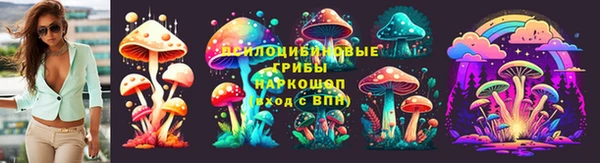 твердый Осташков
