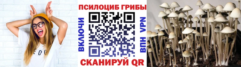 Галлюциногенные грибы ЛСД  наркотики  Балабаново 