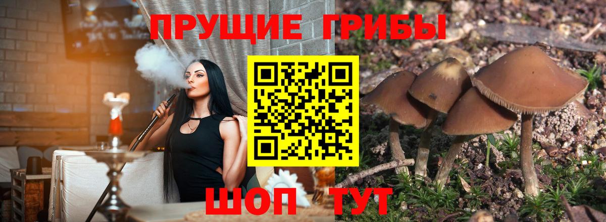 Псилоцибиновые грибы прущие грибы Балабаново
