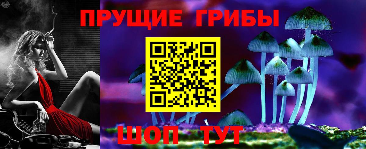 Галлюциногенные грибы Psilocybine cubensis  где найти   Балабаново 