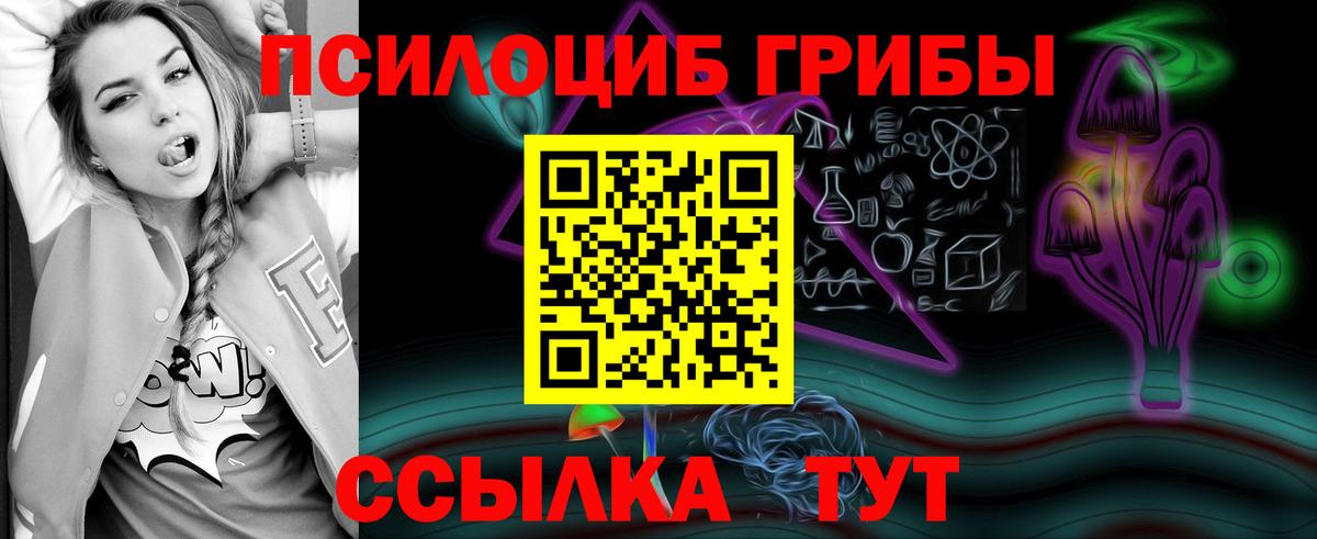 Галлюциногенные грибы Magic Shrooms  Вход с VPN  Псилоцибиновые грибы Psilocybine cubensis  Балабаново 
