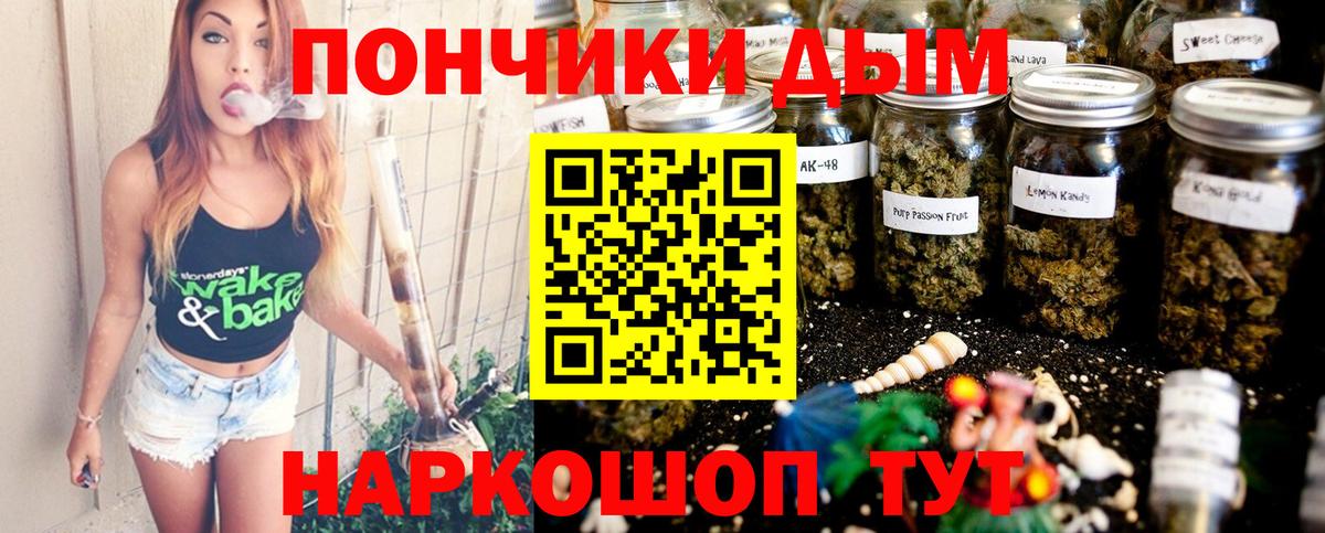 Бошки Шишки семена Балабаново